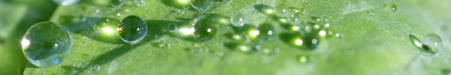 Hella Helmchen – Ressourcenorientierte Psychotherapie